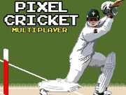 Pixel Cricket Game Online